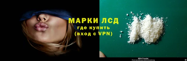спайс Вяземский
