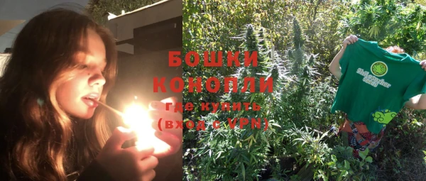 спайс Вяземский