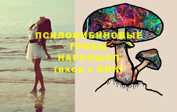 дмт Вязьма